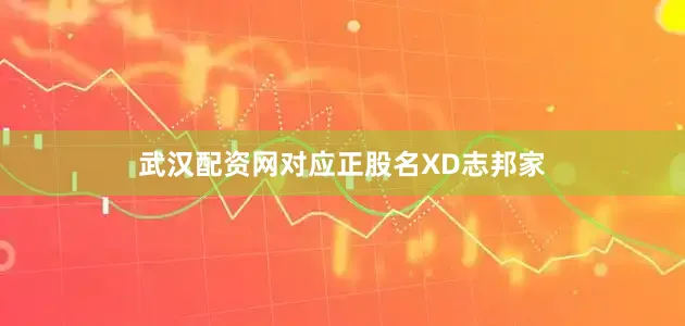 武汉配资网对应正股名XD志邦家