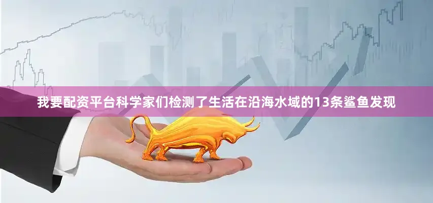 我要配资平台科学家们检测了生活在沿海水域的13条鲨鱼发现