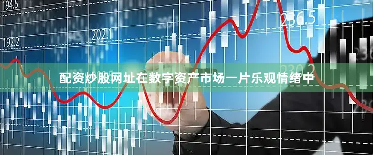 配资炒股网址在数字资产市场一片乐观情绪中