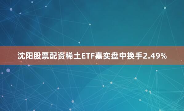 沈阳股票配资稀土ETF嘉实盘中换手2.49%