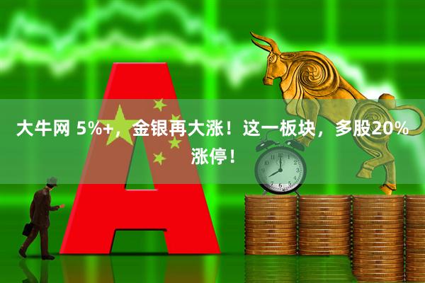 大牛网 5%+，金银再大涨！这一板块，多股20%涨停！