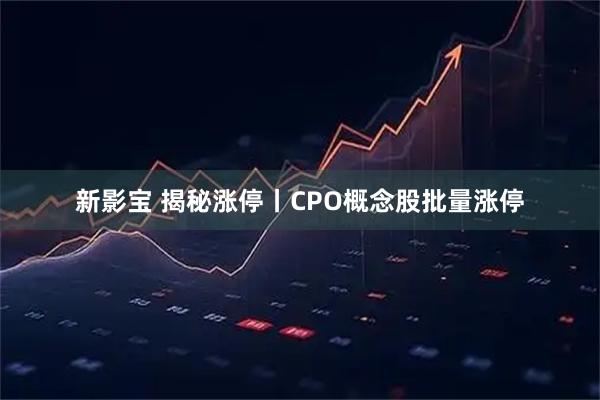 新影宝 揭秘涨停丨CPO概念股批量涨停