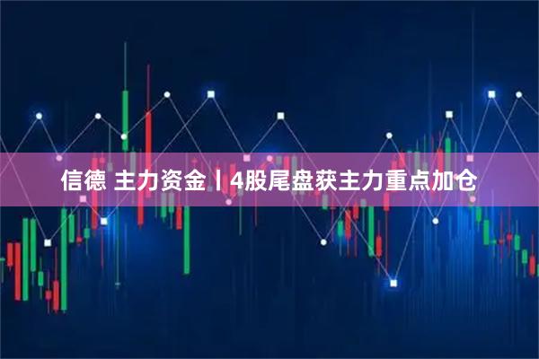 信德 主力资金丨4股尾盘获主力重点加仓